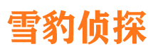 大理侦探公司